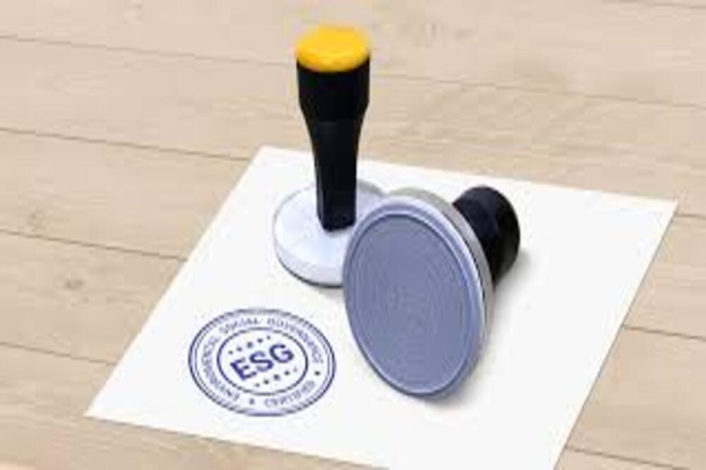 Manufacturer, Exporter, Importer, Supplier, Wholesaler, Retailer, Trader of Basic Rubber Stamps in Amritsar, Panjab, India.